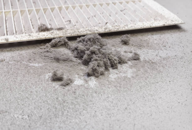 Best Best Air Duct Cleaning Company  in Fort Mckinley, OH