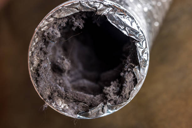 Best Duct Cleaning for Homes  in Fort Mckinley, OH
